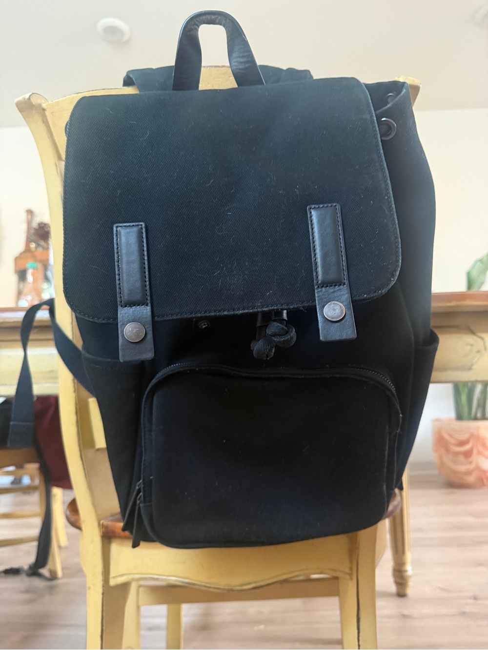 Everlane The Canvas Backpack, like new! (pre PE takeover)